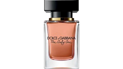 dolce & gabbana parfum damen müller|dolce perfume.